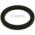 Engine Timing Cover Seal