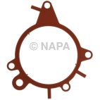 Vacuum Pump Gasket