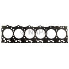 Engine Cylinder Head Gasket