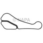Engine Oil Cooler Gasket