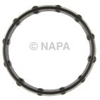 Engine Coolant Thermostat Gasket