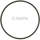 Engine Water Pump Gasket