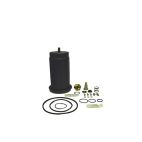 Air Brake Dryer Repair Kits - H/D Truck Bendix AD9 Major Kit HALDEX