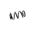 Air Brake Chamber Booster Springs - H/D Truck