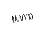 Air Brake Chamber Locator Springs - H/D Truck