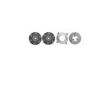 Clutch Packs - Remfd - H/D Truck Haldex