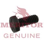 Disc Brake Screw