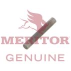 Needle Roller Bearing