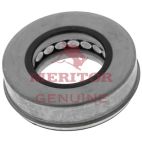 Thrust Bearing