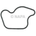 Engine Oil Filter Adapter Gasket