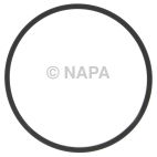 Fuel Pump Gasket