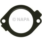 Fuel Injection Plenum Gasket
