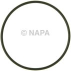 Fuel Injection Plenum Gasket