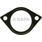 Fuel Injection Plenum Gasket
