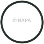 Fuel Injection Plenum Gasket