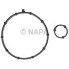 Vacuum Pump Gasket