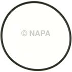 Engine Water Pump Gasket