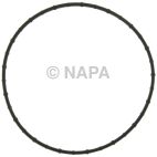 Engine Water Pump Gasket