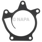 Engine Water Pump Gasket