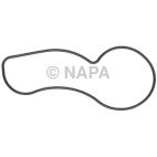 Engine Water Pump Gasket