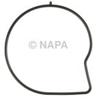 Engine Water Pump Gasket