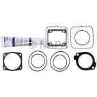 Engine Intake Manifold Gasket Set