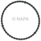Fuel Injection Plenum Gasket