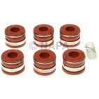 Engine Valve Stem Oil Seal Set