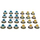 Engine Valve Stem Oil Seal Set