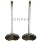 Engine Intake Valve
