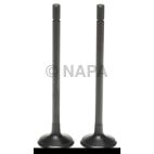 Engine Intake Valve