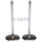 Engine Intake Valve
