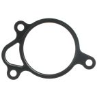 EGR Valve Gasket