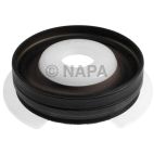Engine Timing Cover Seal