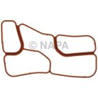 Engine Oil Cooler Gasket