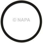 Engine Oil Cooler Gasket