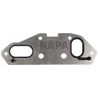 Engine Oil Cooler Gasket