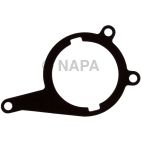Vacuum Pump Gasket