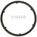 Engine Water Pump Gasket