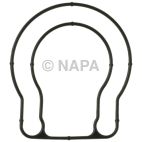 Fuel Injection Throttle Body Mounting Gasket