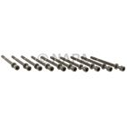 Engine Cylinder Head Bolt Set