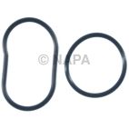 Engine Oil Filter Gasket