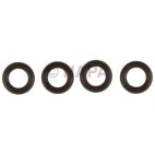 Fuel Injector O-Ring Kit