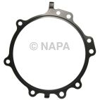 Engine Water Pump Gasket