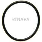 Engine Water Pump Gasket