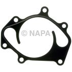 Engine Water Pump Gasket