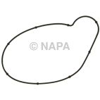 Engine Water Pump Gasket