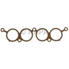 Fuel Injection Plenum Gasket