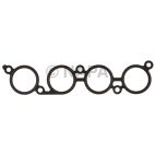 Fuel Injection Plenum Gasket