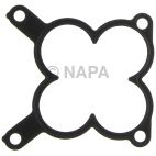 Fuel Injection Plenum Gasket